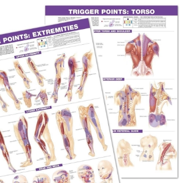 Trigger Points: Torso and Extremities (Set of Two)
