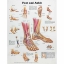 Foot and Ankle