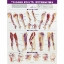Trigger Points Extremities 