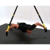 Synergy Suspension Trainer Only (No Anchor)