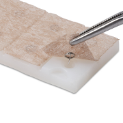 Picture of Meridius Acupuncture Press Needles